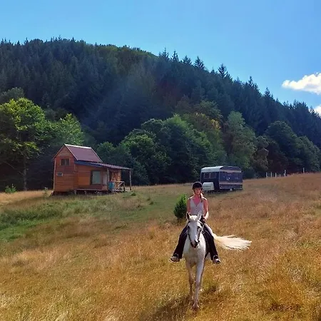 Campingplads Unique Off-grid Cabin In Raw Nature: Bucephalus Bachevo (Blagoevgrad)