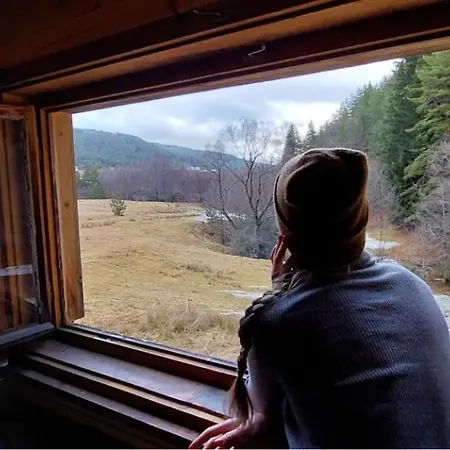 Unique Off-grid Cabin In Raw Nature: Bucephalus Bachevo (Blagoevgrad)