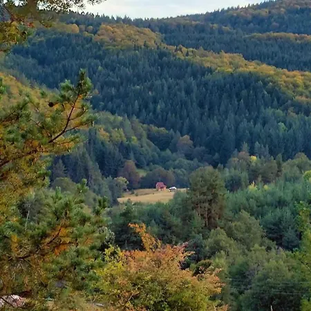 Unique Off-grid Cabin In Raw Nature: Bucephalus 营地 *