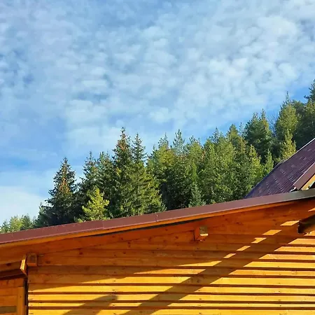 Unique Off-grid Cabin In Raw Nature: Bucephalus Campingplads Bachevo (Blagoevgrad)