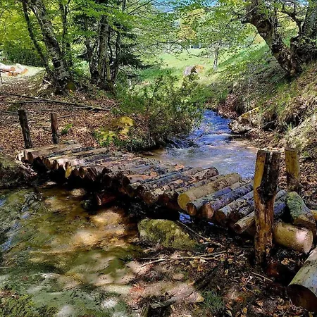 Unique Off-grid Cabin In Raw Nature: Bucephalus 营地 本赫沃